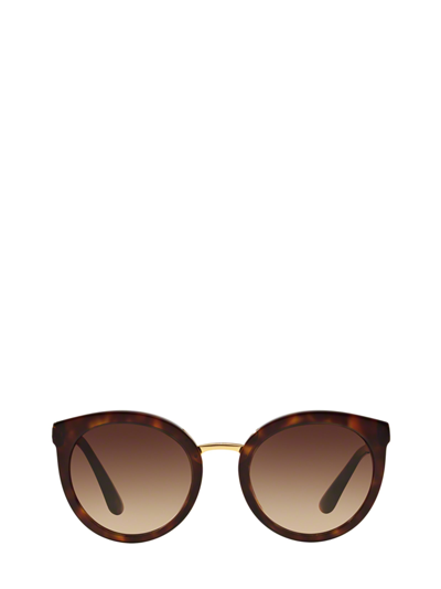 Shop Dolce & Gabbana Dg4268 Havana Sunglasses