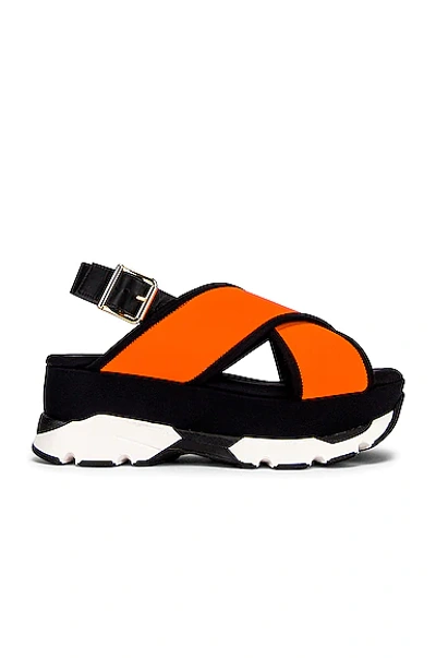 Shop Marni Sporty Wedge Sandals In Fluo Orange