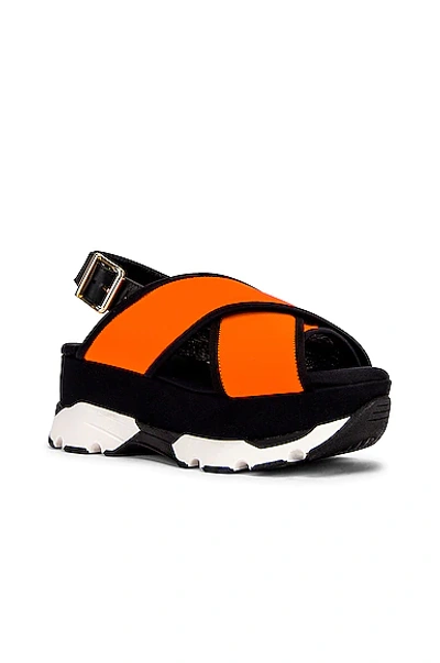 Shop Marni Sporty Wedge Sandals In Fluo Orange