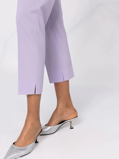 Shop Msgm Cropped Tailored Trousers In Violett