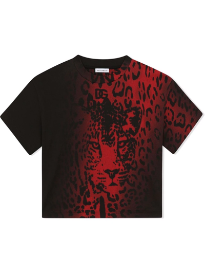 Dolce & Gabbana Kids' Boys Leopard Print Interlock T-shirt In Black |  ModeSens