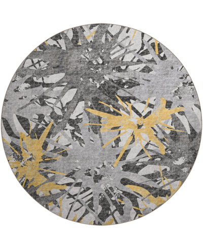 D Style Brisbane Washable Br6 8' X 8' Round Area Rug In Gold-tone