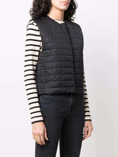 Shop Mackintosh Isabel Quilted Liner Vest In Black