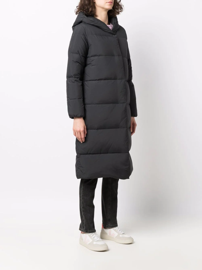 Shop Calvin Klein Hooded Padded Coat In Black
