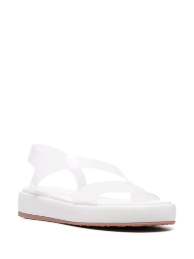 Gianvito Rossi Metropolis Flatform Sandals In Weiss