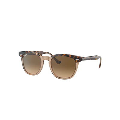 Shop Ray Ban Hawkeye Sunglasses Havana On Transparent Brown Frame Brown Lenses Polarized 52-21