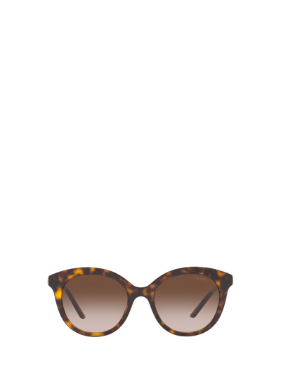 Shop Prada Pr 02ys Tortoise Sunglasses