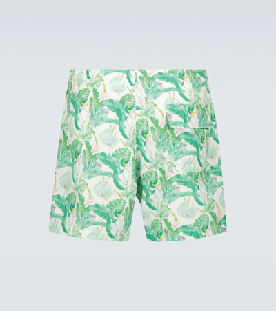 Shop Arrels Barcelona Printed Swim Shorts In Green