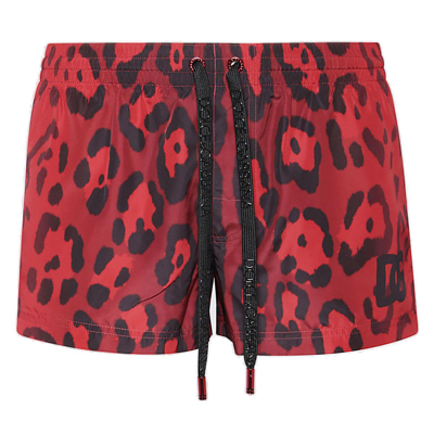 Shop Dolce & Gabbana Leopard Printed Swim Shorts In Multi
