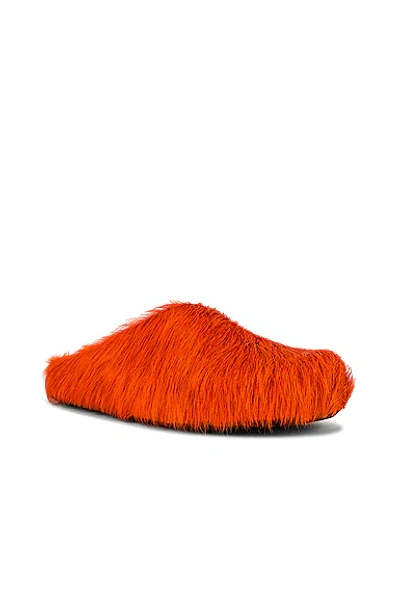 Shop Marni Long Hair Fussbett Sabot In Orange