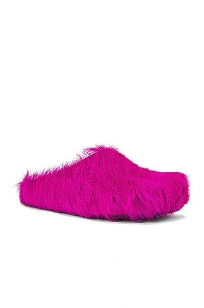 Shop Marni Fussbett Sabot In Fuchsia