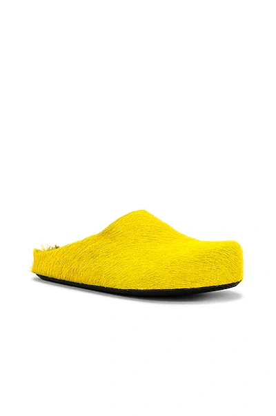 Shop Marni Long Hair Fussbett Sabot In Yellow