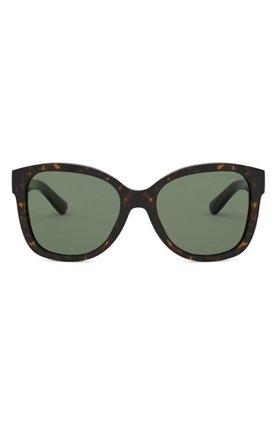 Shop Ralph Lauren 54mm Square Sunglasses In Shiny Dark Havana/green