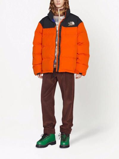 Shop Gucci X The North Face Padded Down Jacket In Orange