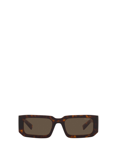 Shop Prada Pr 06ys Tortoise Sunglasses