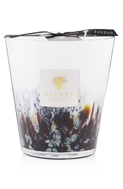 Shop Baobab Collection Rainforest Candle In Tanjung