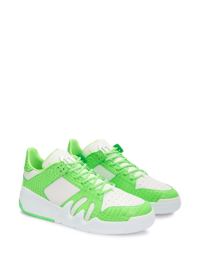 Giuseppe Zanotti Talon Crocodile-effect Sneakers In White