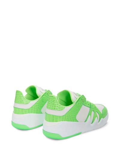 Giuseppe Zanotti Talon Crocodile-effect Sneakers In White