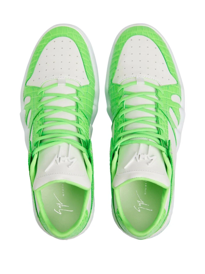 Giuseppe Zanotti Talon Crocodile-effect Sneakers In White