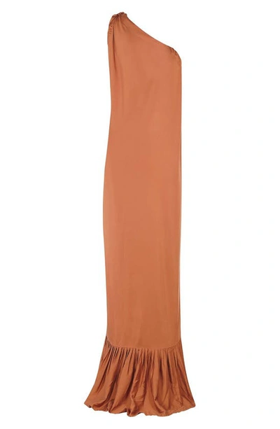 Shop Diarrablu Diago One-shoulder Dress In Rust