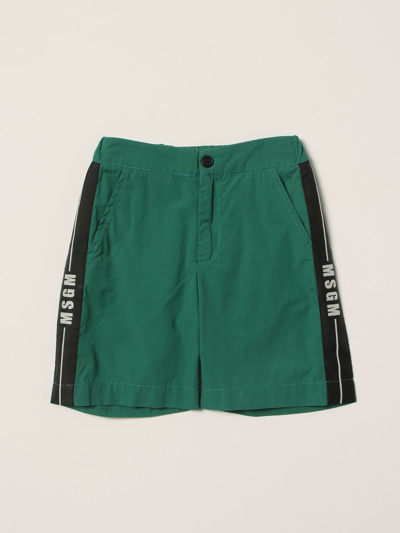 Shop Msgm Cotton Shorts In Green