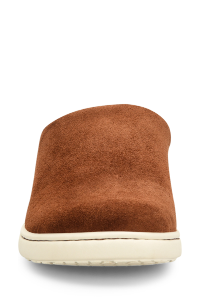 Shop Born Zen Sneaker Mule In Rust Suede