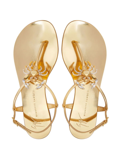 Shop Giuseppe Zanotti Moon Crab Thin-strap Sandals In Gold