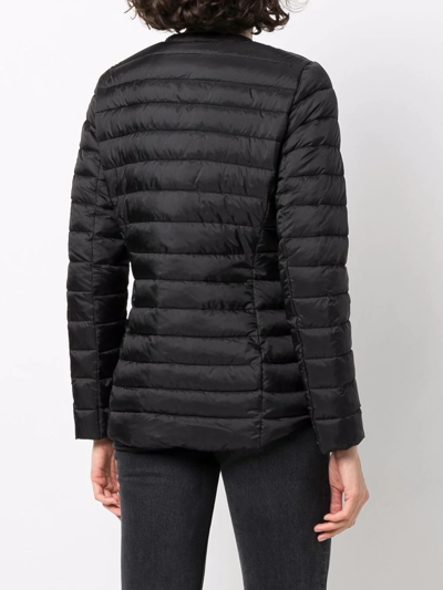 Shop Lauren Ralph Lauren Quilted Zipped Puffer Jacket In Black