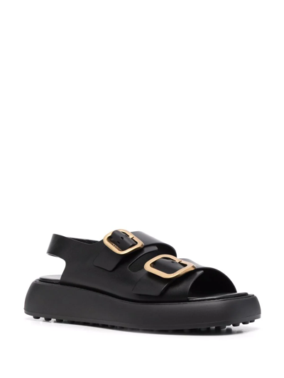 Shop Tod's Double Buckle Fastening Sandals In Black