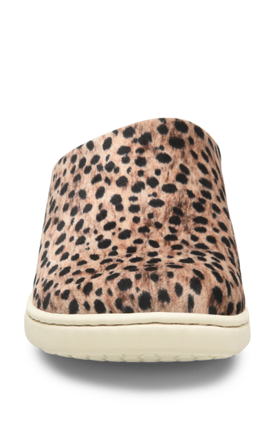 Shop Born Zen Sneaker Mule In Black/ Natural Cheetah Print