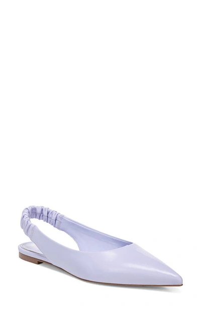Shop Sam Edelman Whitney Pointed Toe Flat In Misty Lilac