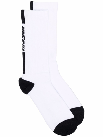 Shop Msgm Logo Socks In Bianco