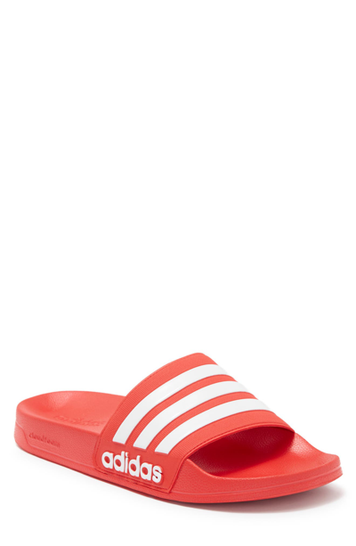 Shop Adidas Originals Adilette Shower Slide In Vivid Red/ftwr White