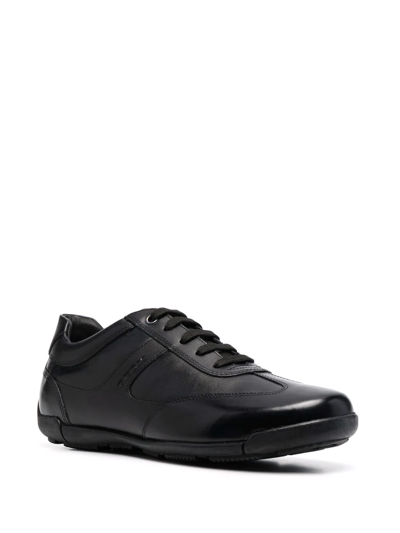 Geox Edgware Low-top Sneakers In Schwarz