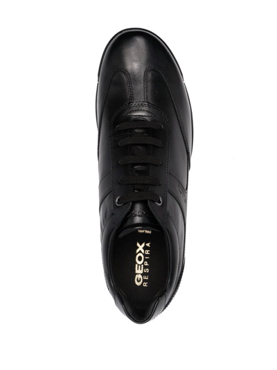 Geox Edgware Low-top Sneakers In Schwarz