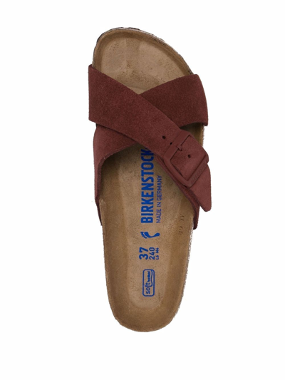 Shop Birkenstock Siena Crossover-strap Sandals In Braun