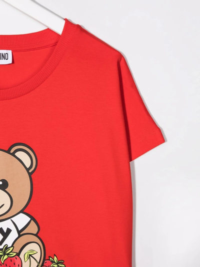 Shop Moschino Toy-bear Print T-shirt In Red