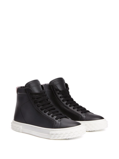 Shop Giuseppe Zanotti Hi-top Lace-up Sneakers In Black