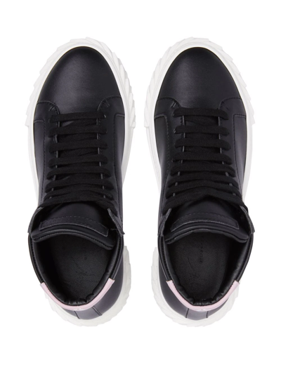 Shop Giuseppe Zanotti Hi-top Lace-up Sneakers In Black