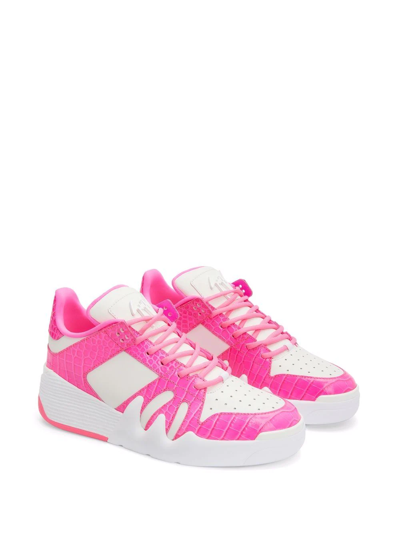 Giuseppe Zanotti Talon Sneakers In White