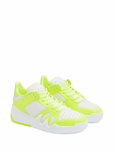 Giuseppe Zanotti Talon Sneakers In White