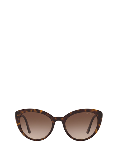 Prada Semi-transparent Acetate Cat-eye Sunglasses In Brown | ModeSens