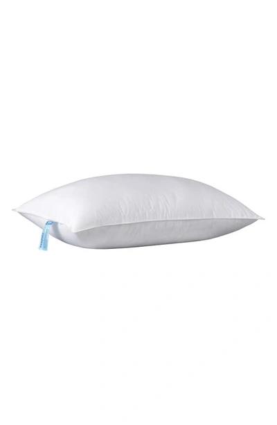 Shop Allied Home Respire 2-pack Down Alternative Pillows In White