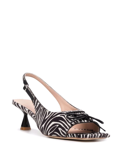 Shop Scarosso Bella Zebra-print Pumps In Black