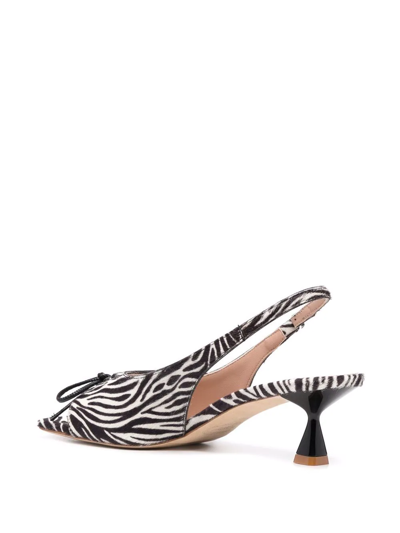 Shop Scarosso Bella Zebra-print Pumps In Black