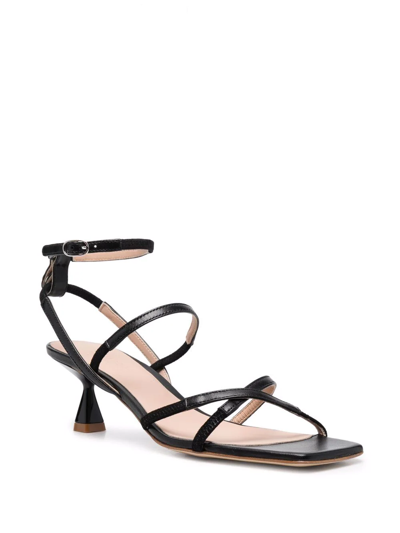Shop Scarosso Sally Leather Sandals In Black