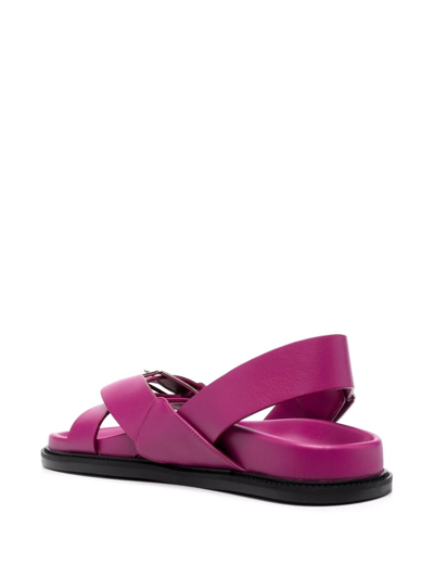 Shop Scarosso Hailey Buckled Sandals In Pink
