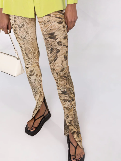 Shop Blumarine Python-effect Flared Trousers In Brown