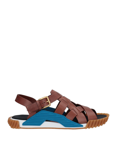 Shop Dolce & Gabbana Sandals In Brown