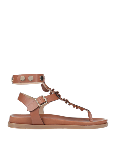 Shop Cécile Woman Thong Sandal Tan Size 7 Cowhide In Brown